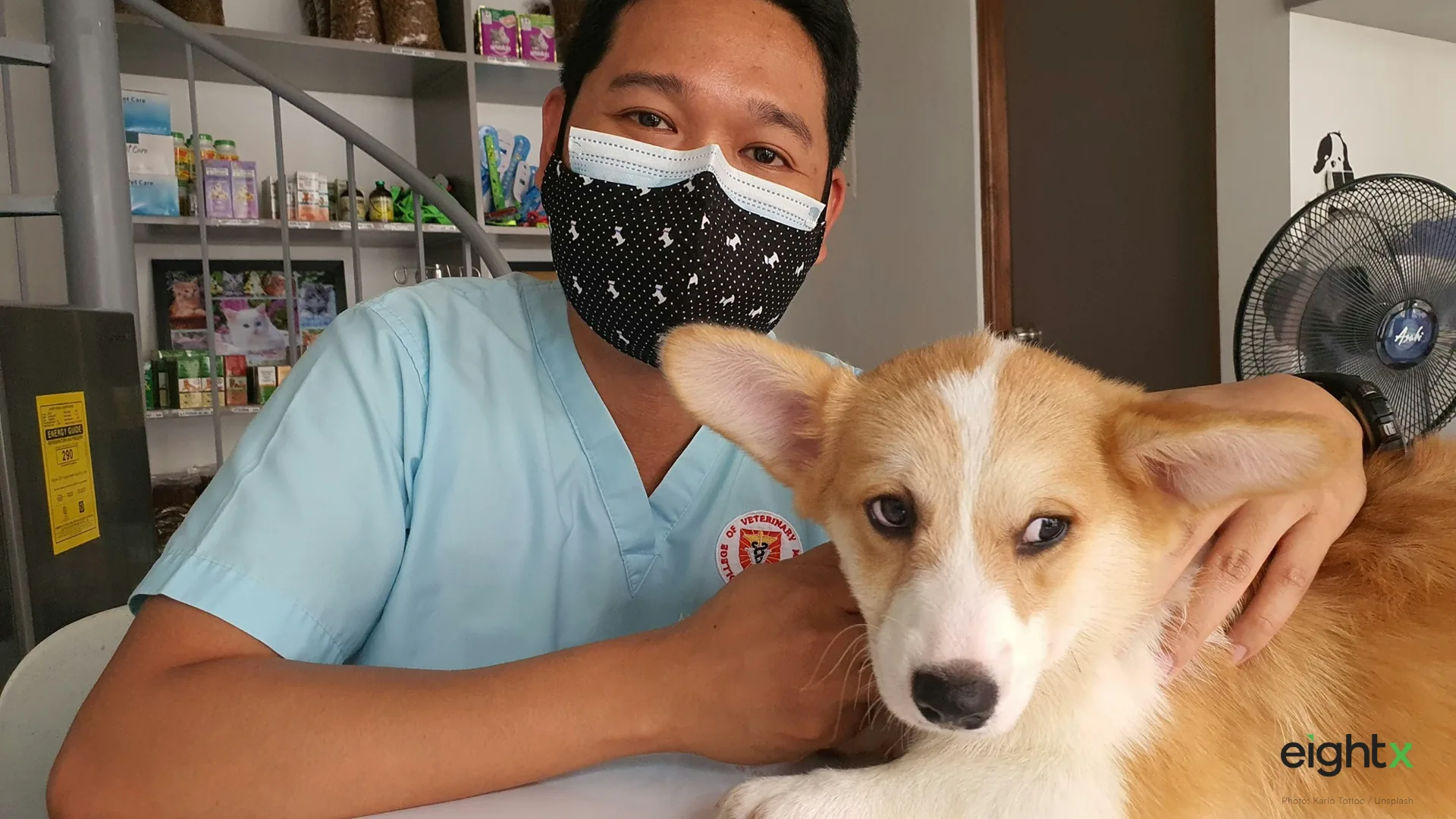 Chewy's Vet-Clinic Acquisition Math: When Buying Growth Beats Building It