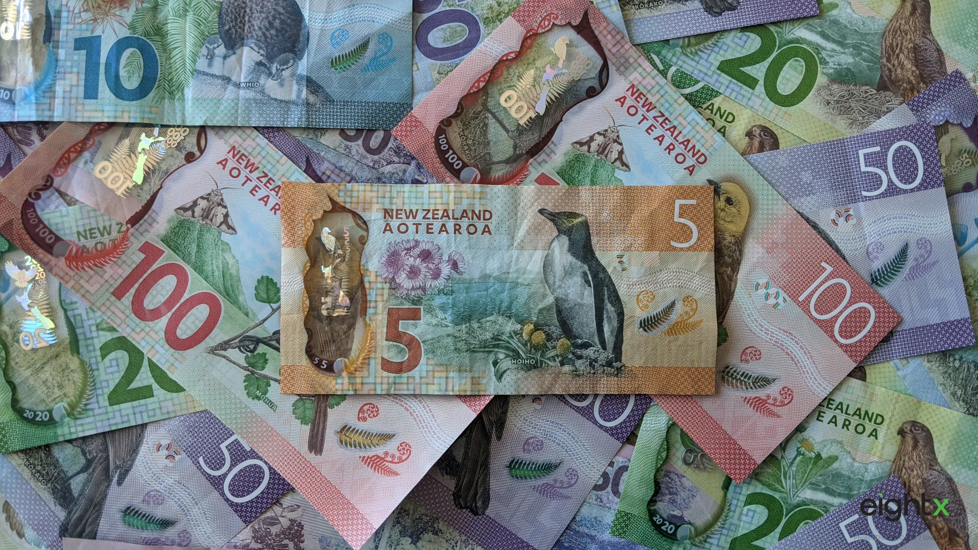 New Zealand DTC Cost of Capital 2026