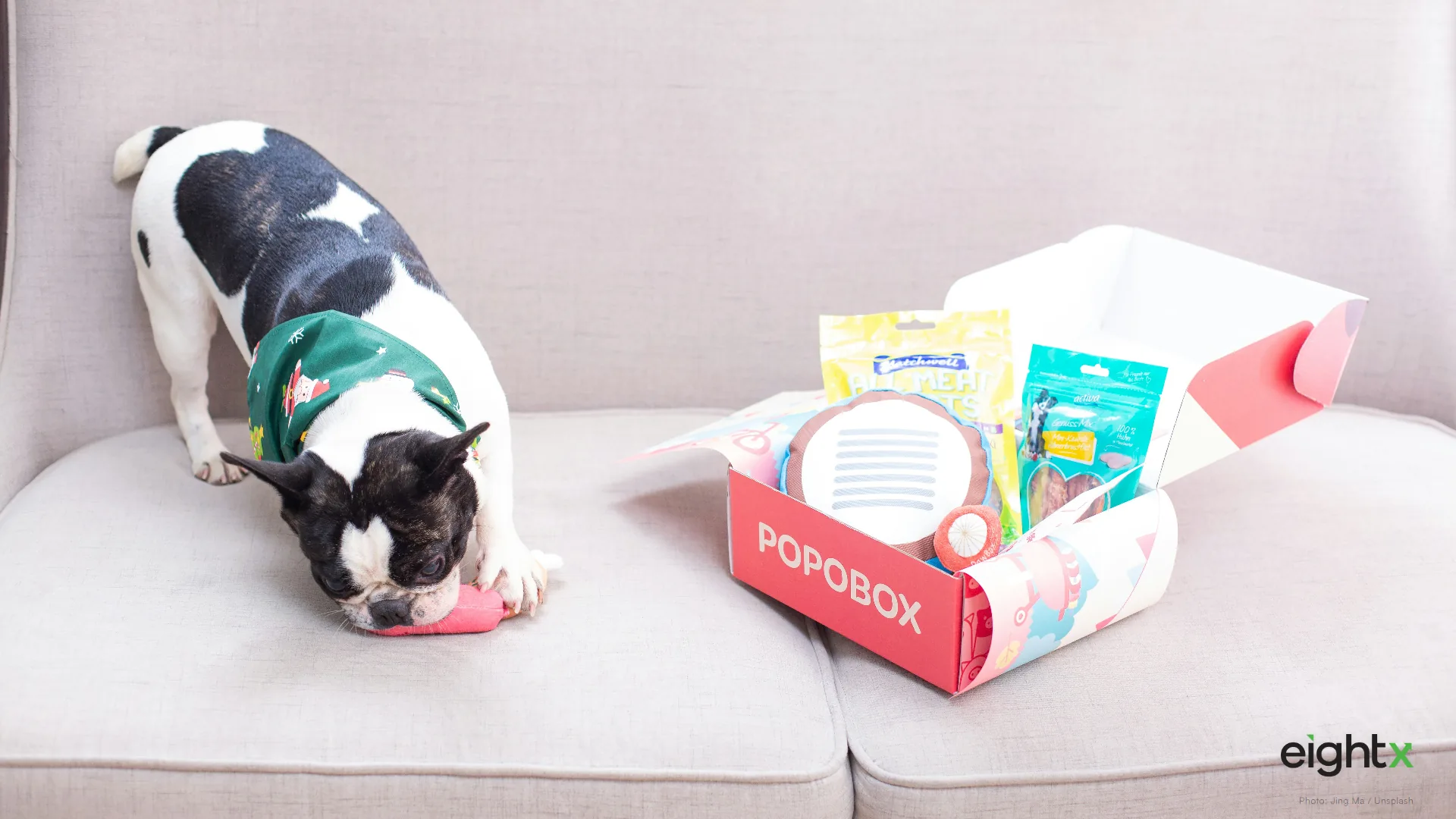 Pet Subscription Churn Rate Benchmark 2026